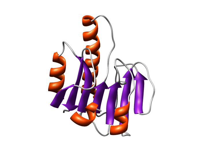 Figure of the model 30133975_1 rendered with Chimera